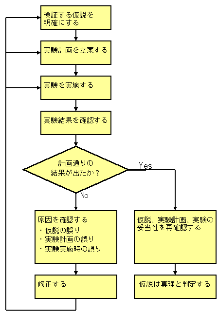 検証プロセス